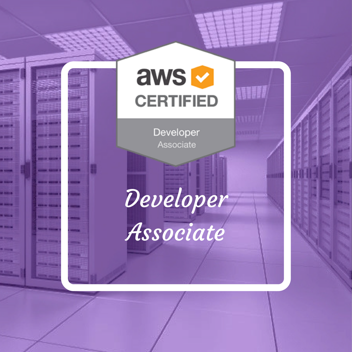 AWS-Certified-Developer-Associate Braindumps